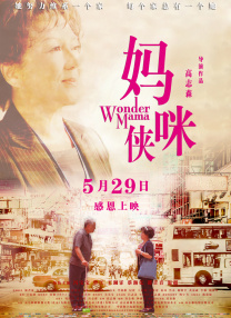国产99久久久国产精品小说