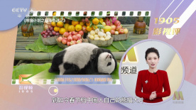 国产精品免费无遮挡
